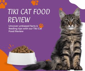 Tiki Cat Food Review