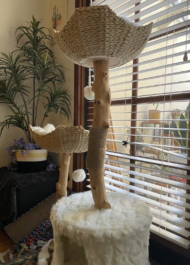 Design and Features of the Best Minimalist Cat Trees