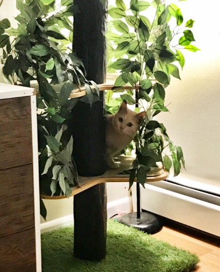 Cat Tree with Leaves reviews