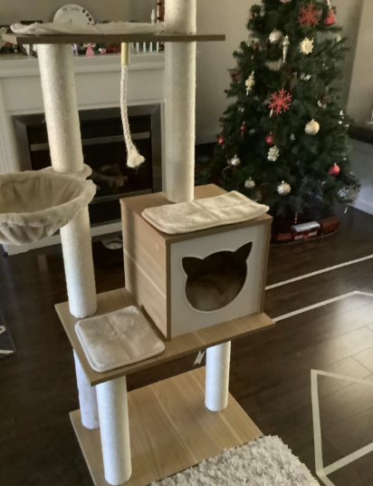 The Aesthetics of Minimalist Cat Trees and How They Fit into Modern Decor