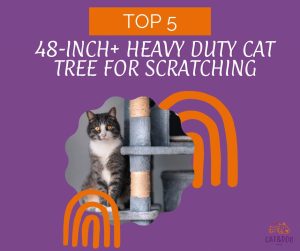 Best Heavy Duty Cat Tree