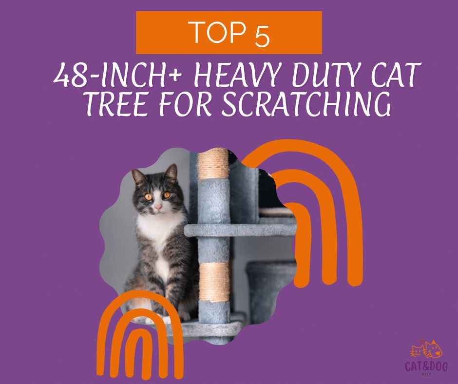 Best Heavy Duty Cat Tree