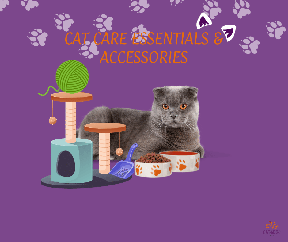 Cat Care Essentials & Accessories