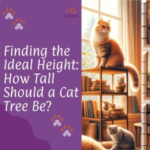 Finding the Ideal Height How Tall Should a Cat Tree Be
