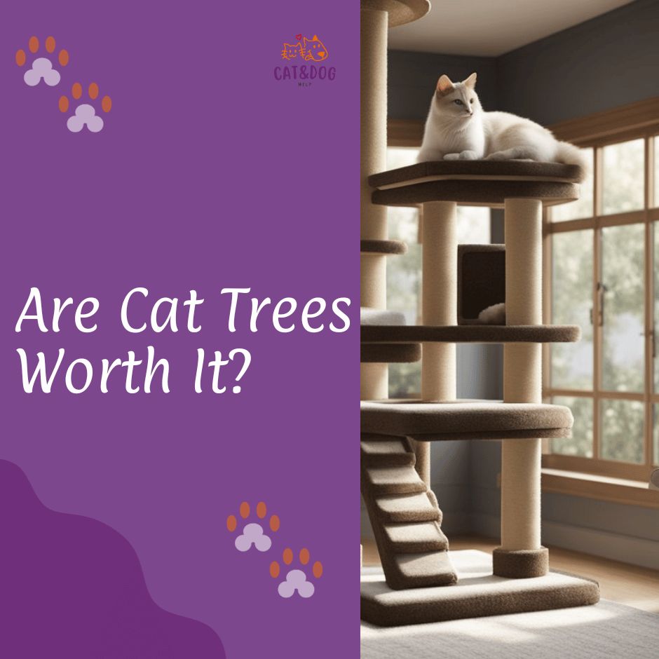 are-cat-trees-worth-it