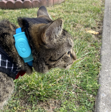 Enter the TabCat, a game-changer in the world of pet tracking