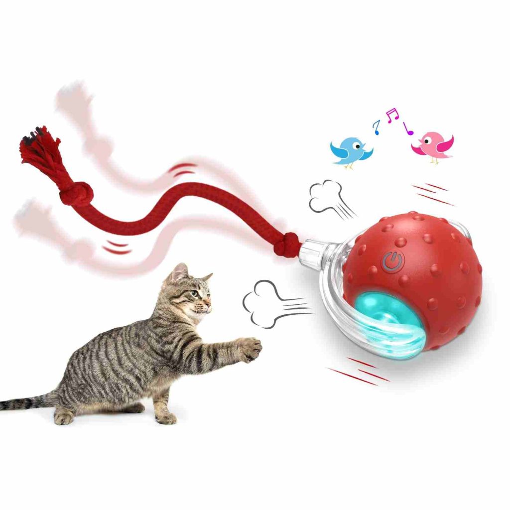 Giociv Chirpy Ball cat smart toy
