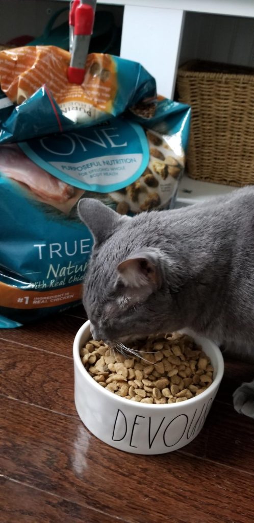 #5 Purina ONE High Protein