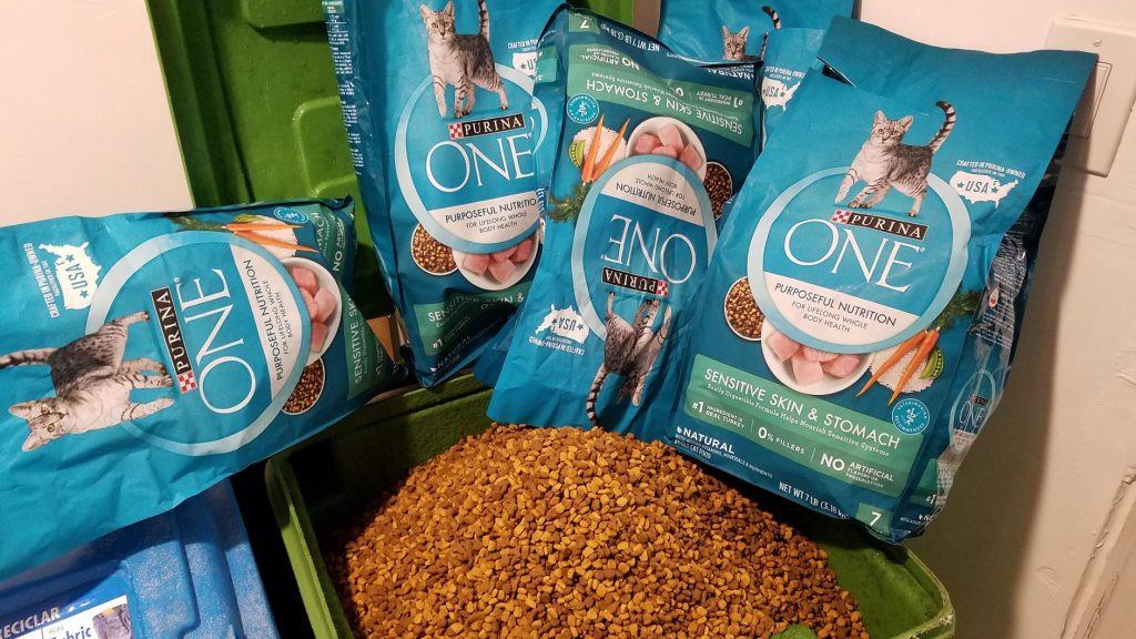 best cat food for cats that throw up