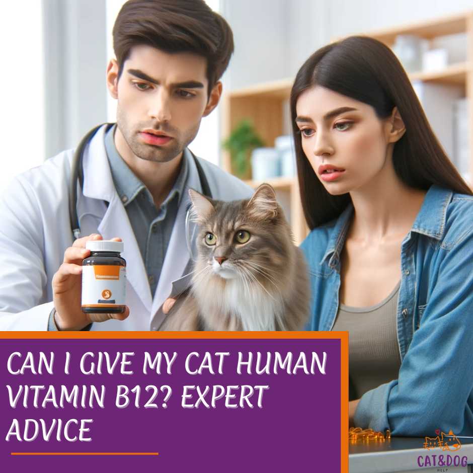 Can I Give My Cat Human Vitamin B12? Expert Advice