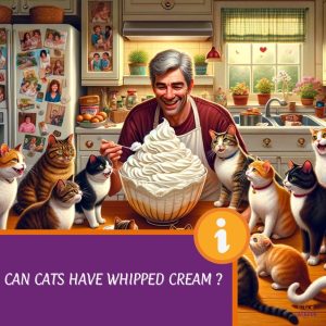 can cats have whipped cream