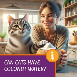 can cats have coconut water