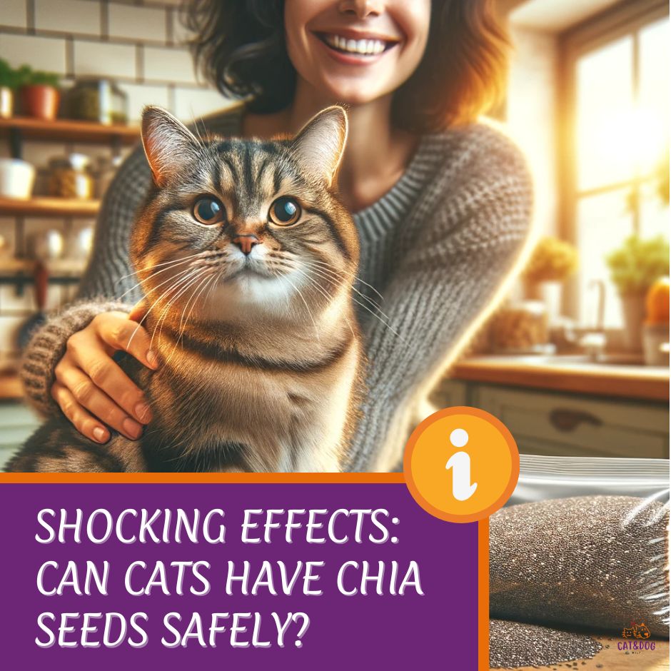 can cats have chia seeds