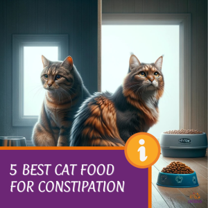 best cat food for constipation