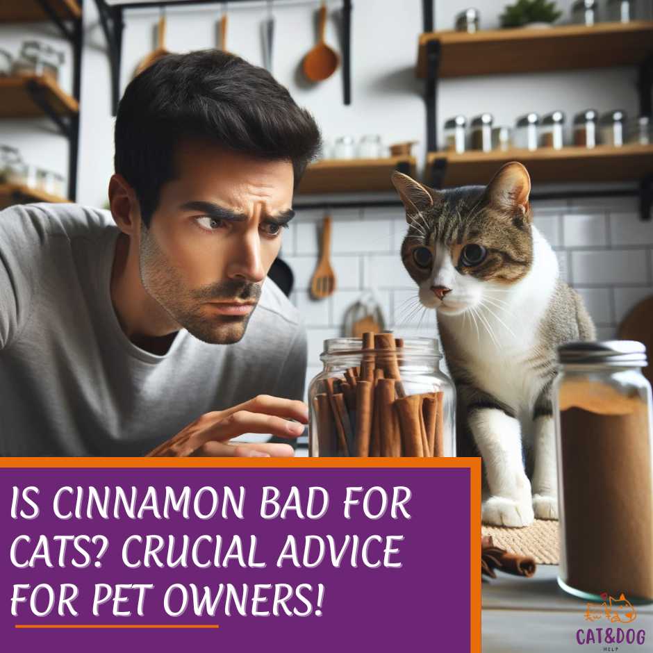 Is Cinnamon Bad for Cats? Crucial Advice for Pet Owners!