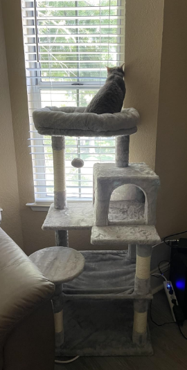 46.5 inches Cat Tree