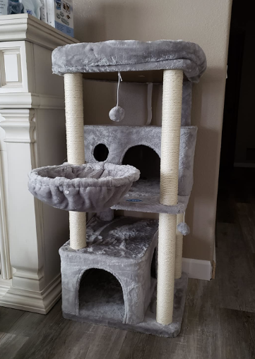 Cat Tree is a fantastic option for those with large cats