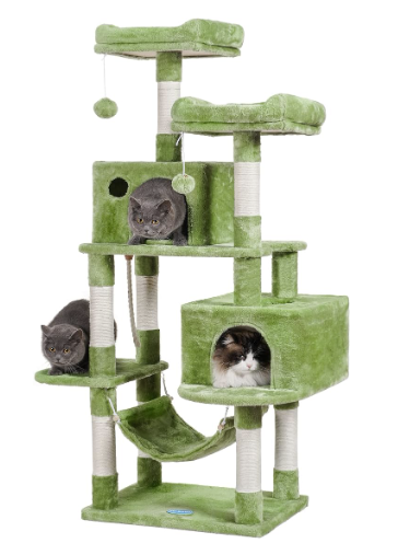 Large Multi-Level Cat Tree