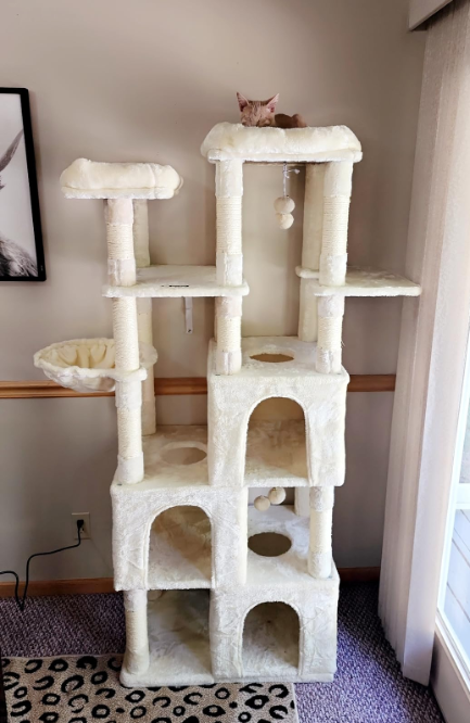 Heavy Duty Extra Large Cat Tree for Indoor Cats