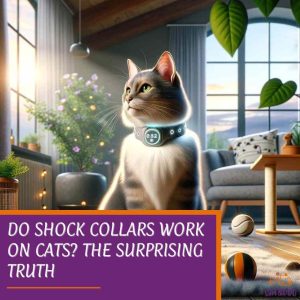 Do Shock Collars Work on Cats? The Surprising Truth