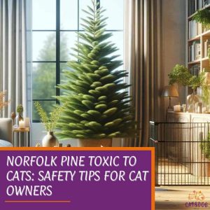 Norfolk Pine Toxic to Cats: Safety Tips for Cat Owners