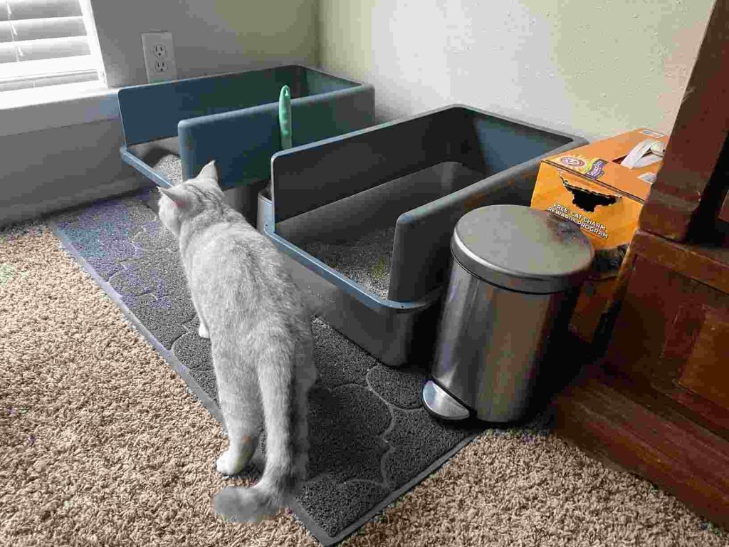 iPrimio XL Stainless Litter Box