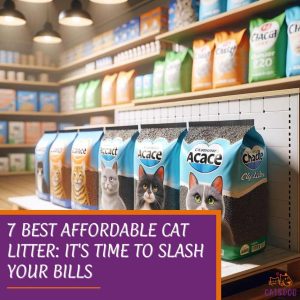 7 Best Affordable Cat Litter: It's Time to Slash Your Bills