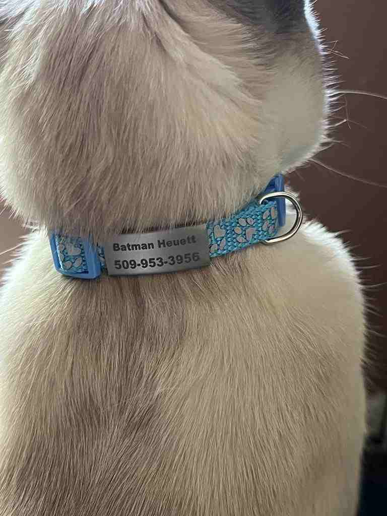 Senristar Breakaway Cat Collars