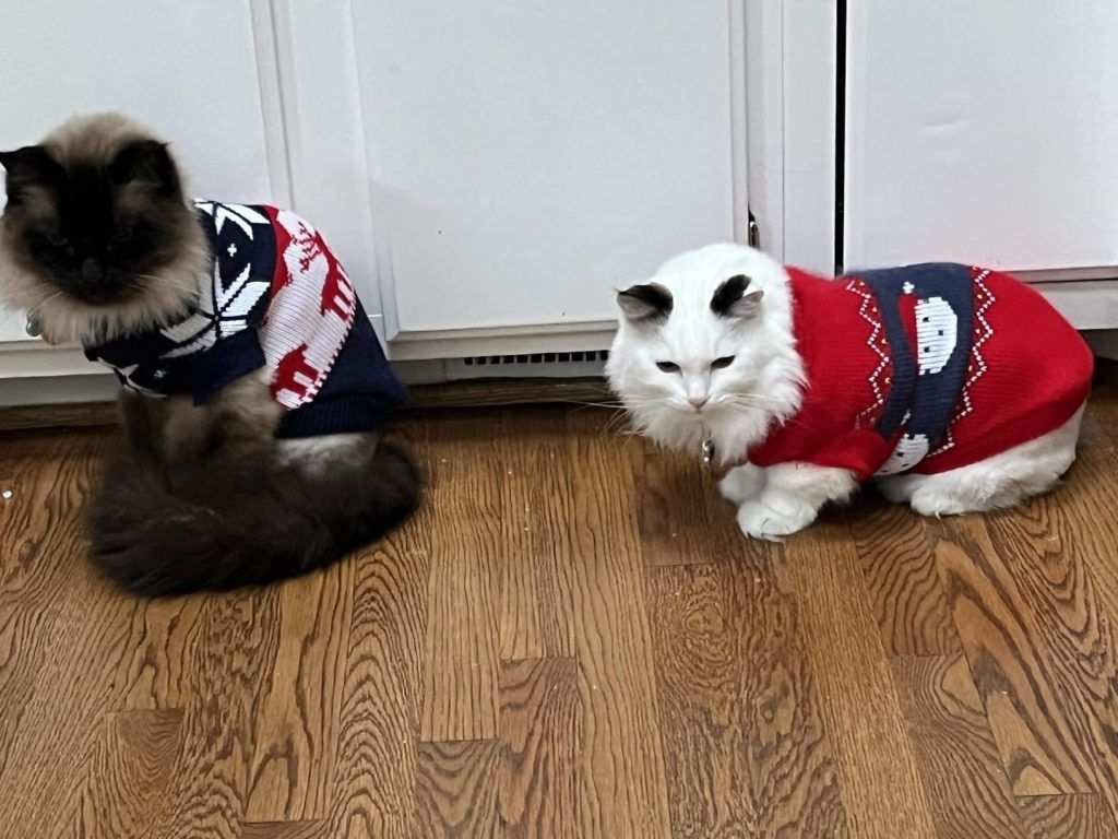 Rypet Cat Christmas Sweater Set
