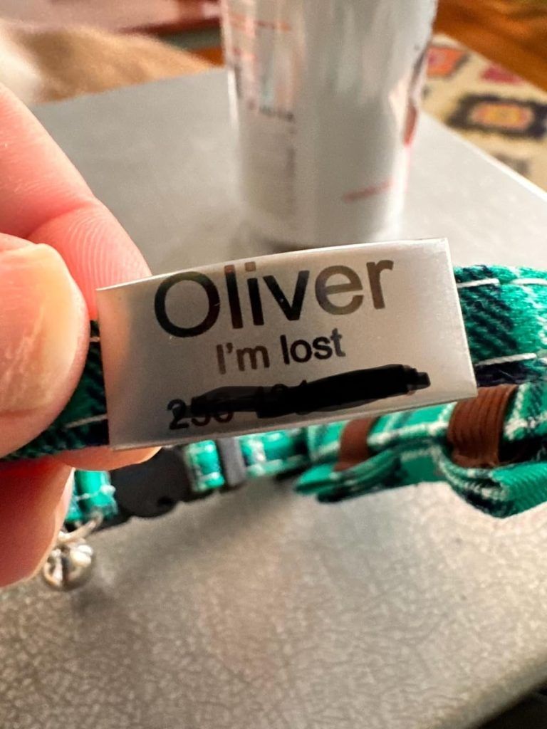 TagME Personalized Cat Collar