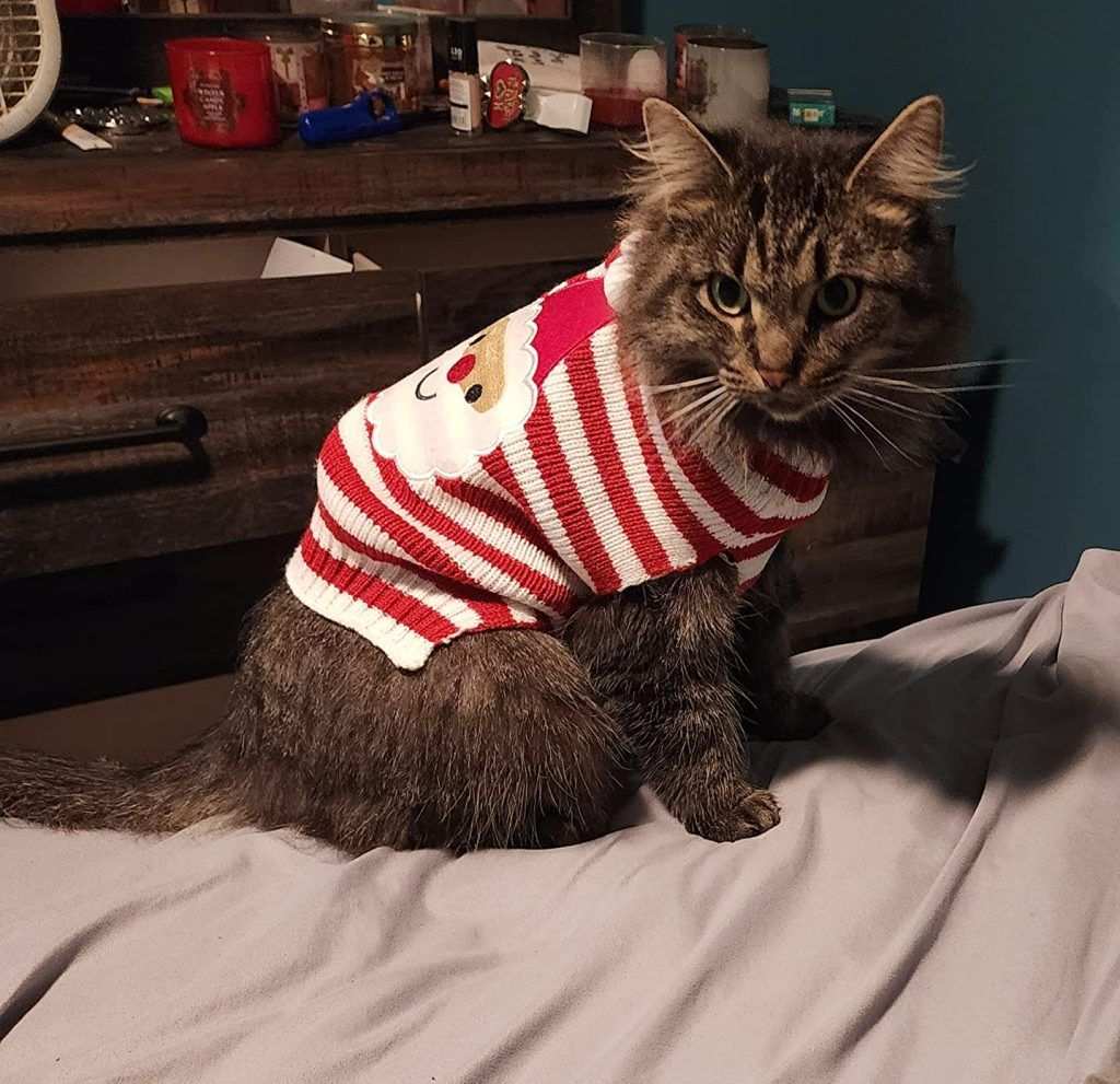  BOBIBI Cat Christmas Sweater