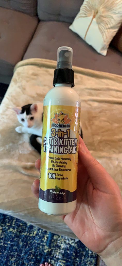 Bodhi Dog Cat Repellent