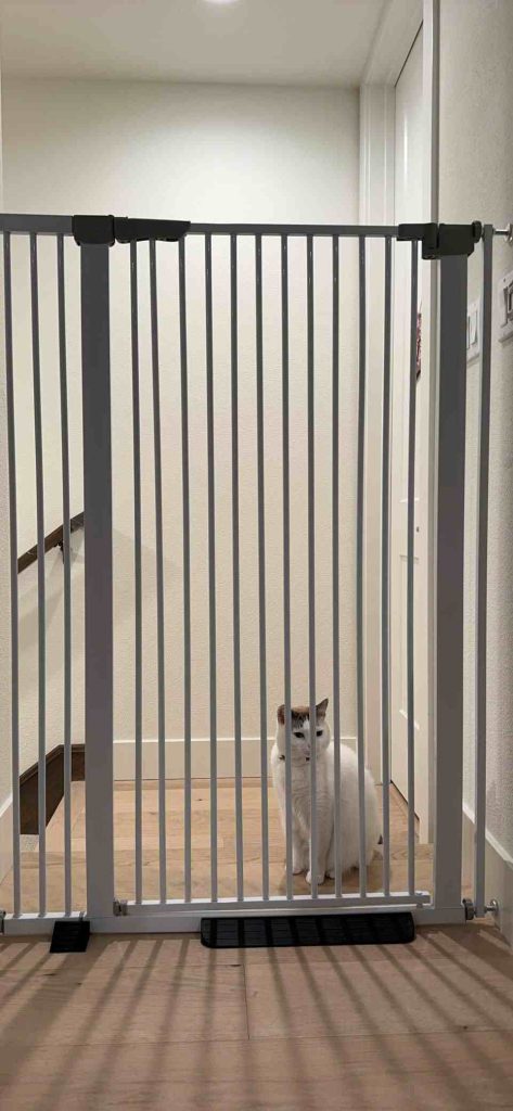 ZOUTEX Extra Tall Cat Gate