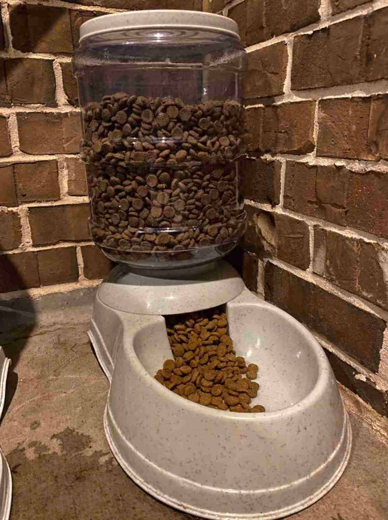 outdoor automatic cat feeder