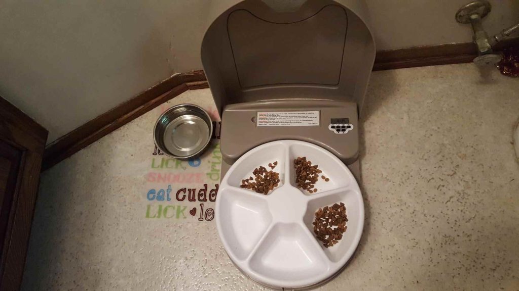 petsafe eatwell 5-meal automatic dog and cat feeder