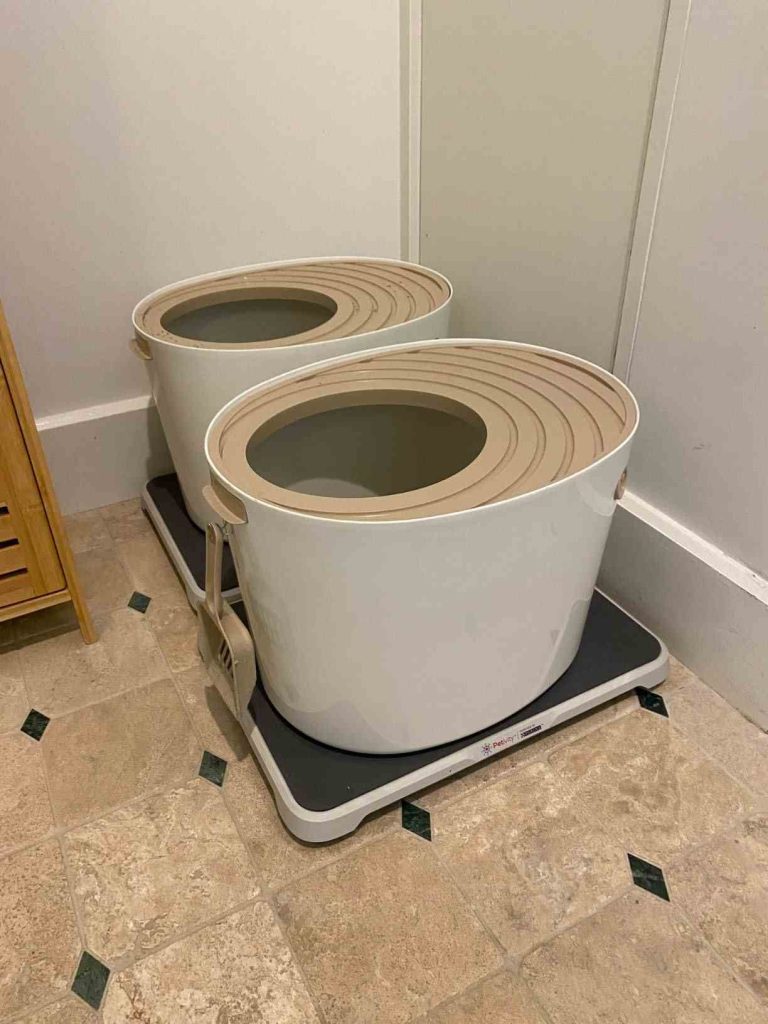 Real User Experiences and Product Evaluation on petivity smart litter box