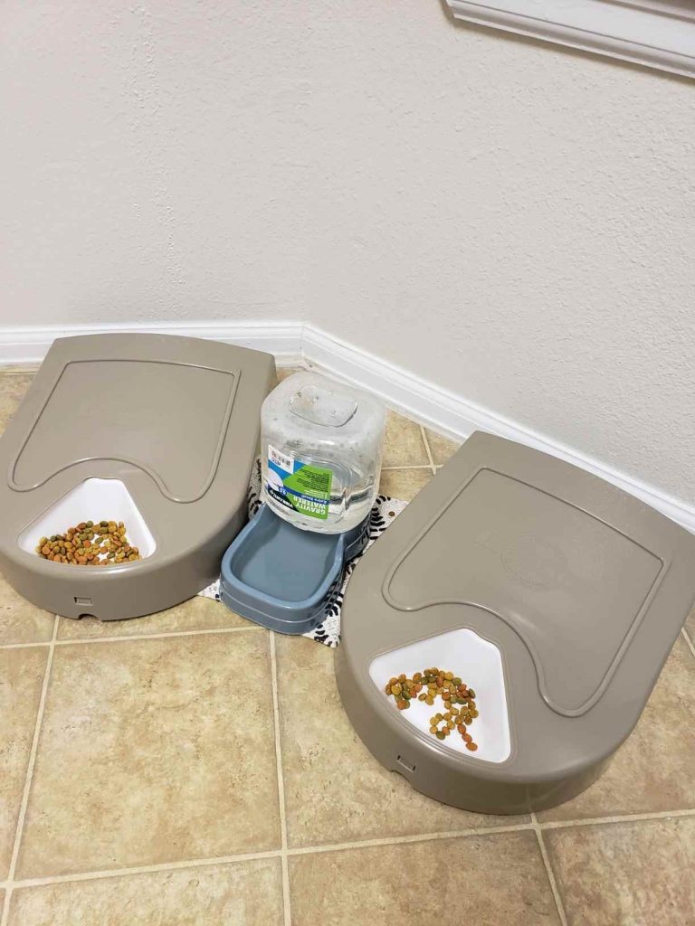 Eatwell feeder ensures your pet is fed on time