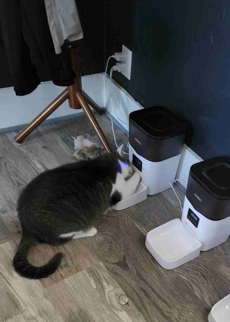 Comparative Analysis on Ymiko Automatic Cat Feeder