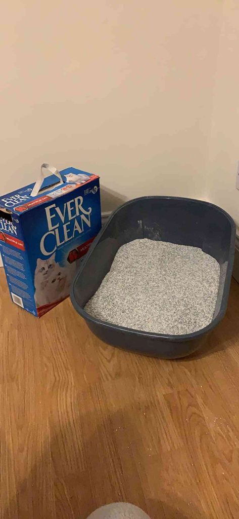 Everclean Cat Litter