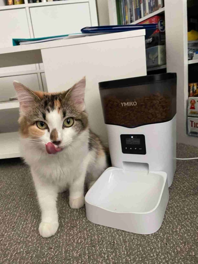 My Personal Rating & Review: Ymiko Automatic Cat Feeder