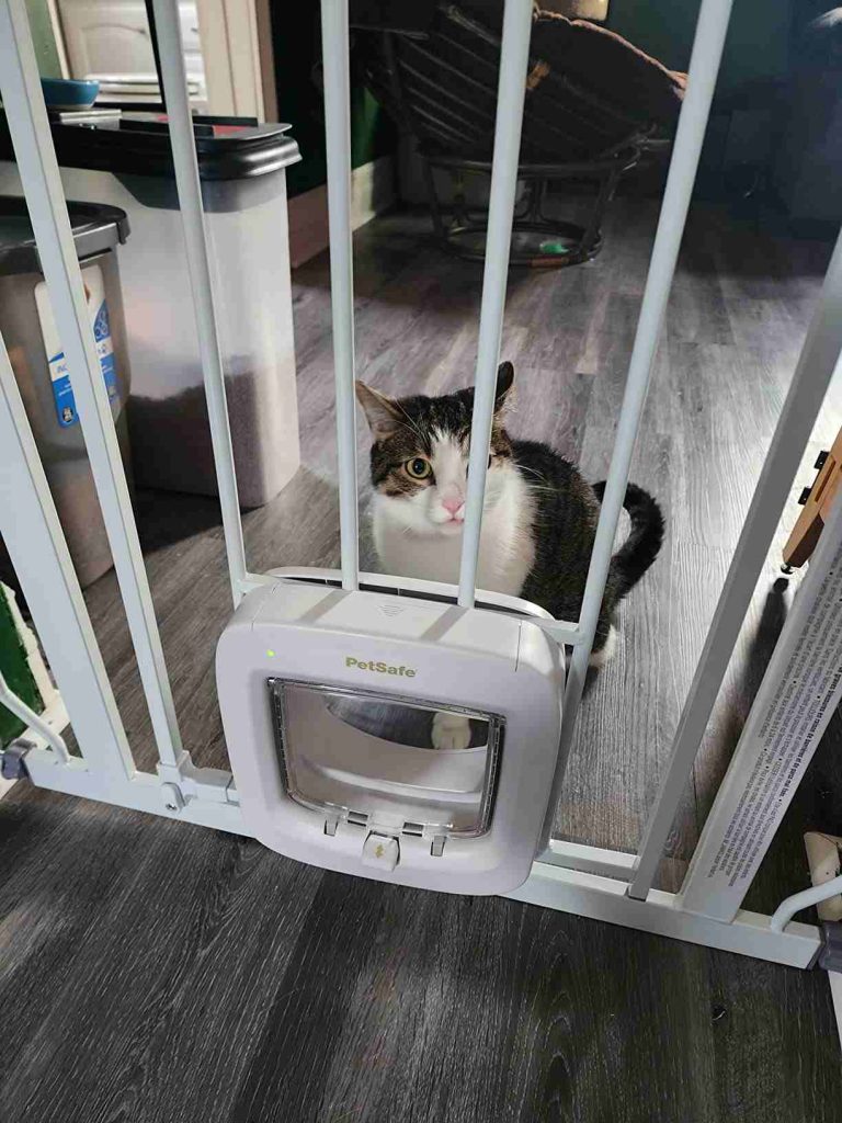 PetSafe Microchip Cat Door is a compelling narrative of progress