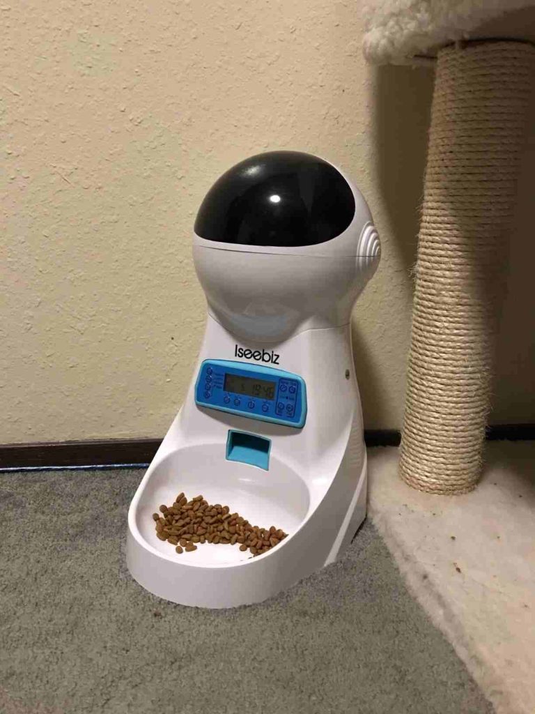 How to use Iseebiz automatic cat feeder