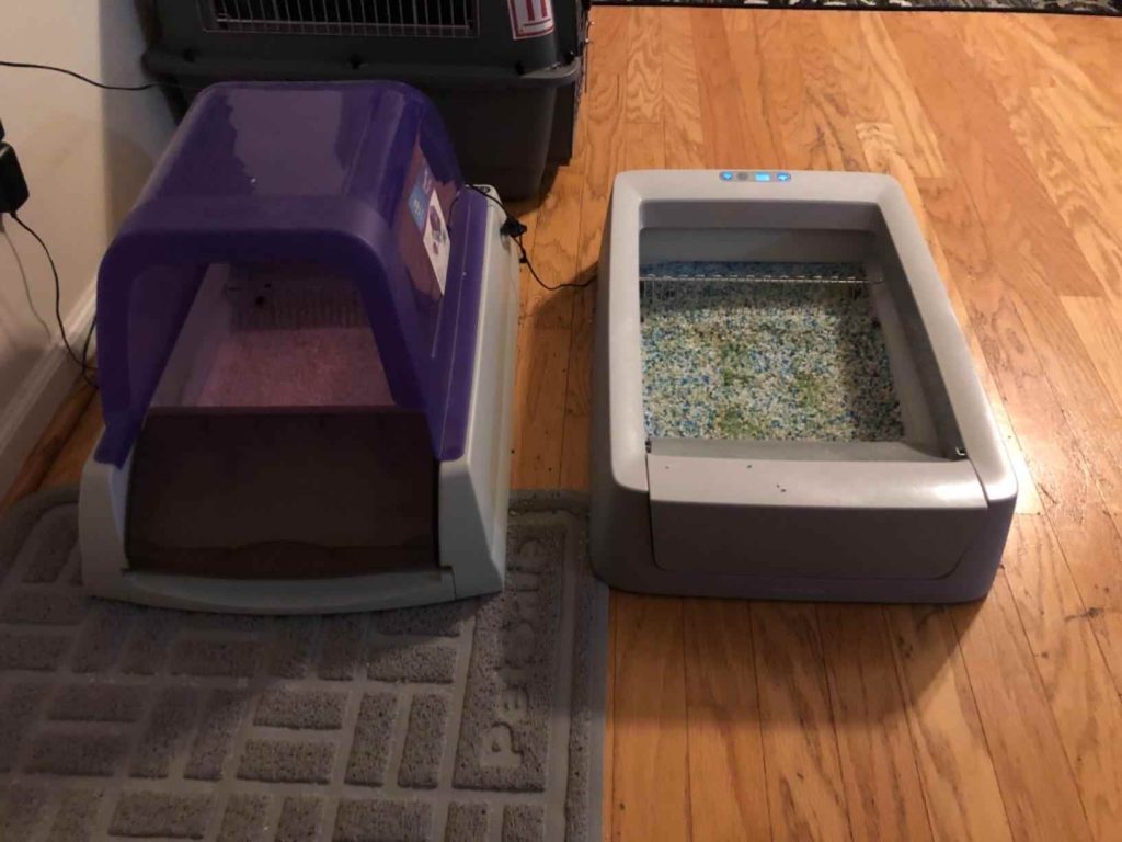 Key Features of the ScoopFree Litter Box