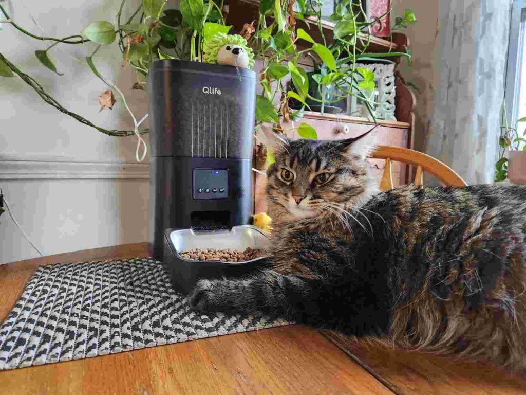 Benefits and Limitations of the QLife Automatic Cat Feeder