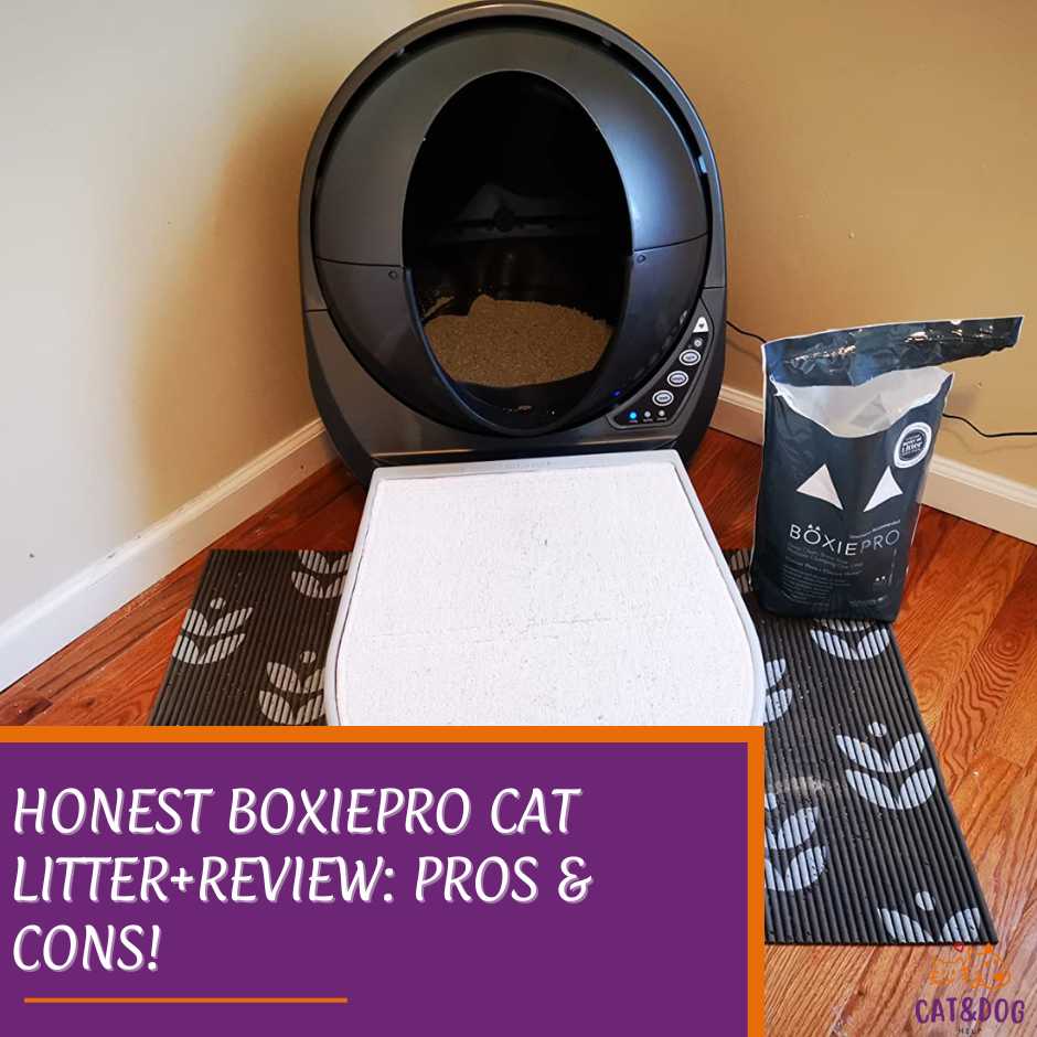 Honest BoxiePro Cat Litter+Review: Pros & Cons!