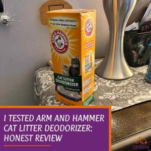 I Tested Arm and Hammer Cat Litter Deodorizer: Honest Review