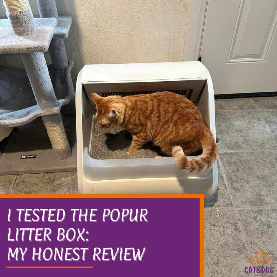 I Tested The Popur Litter Box: My Honest Review