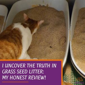 I Uncover the Truth in Grass Seed Litter: My Honest Review!