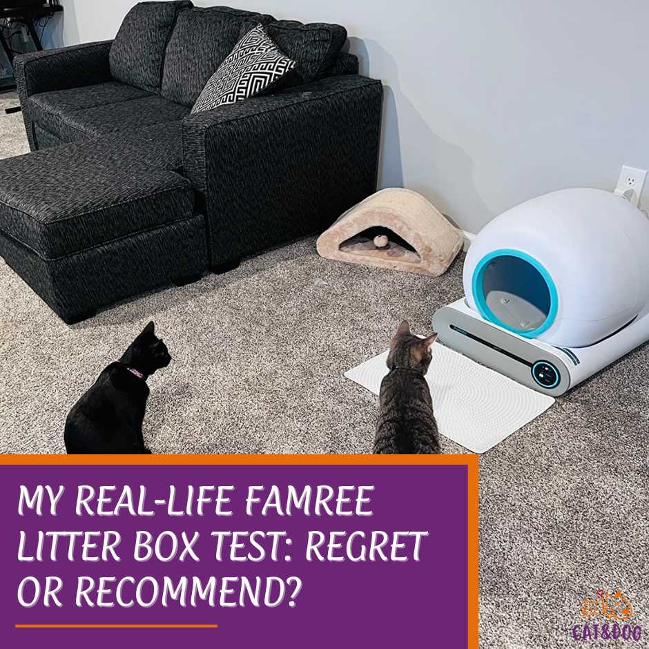 My Real-Life Famree Litter Box Test: Regret or Recommend?