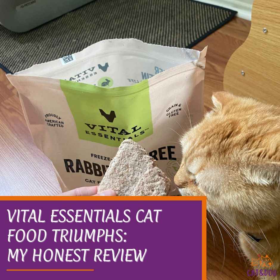Vital Essentials Cat Food Triumphs: My Honest Review